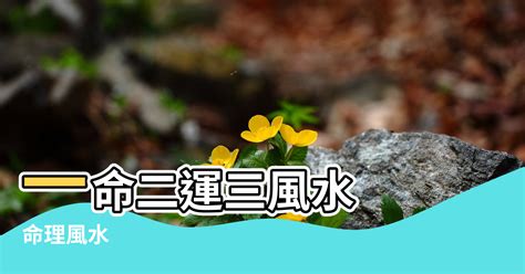 一運二命三風水|一命二運三風水四積陰德五讀書是有其道理！（紫微斗數府相居。